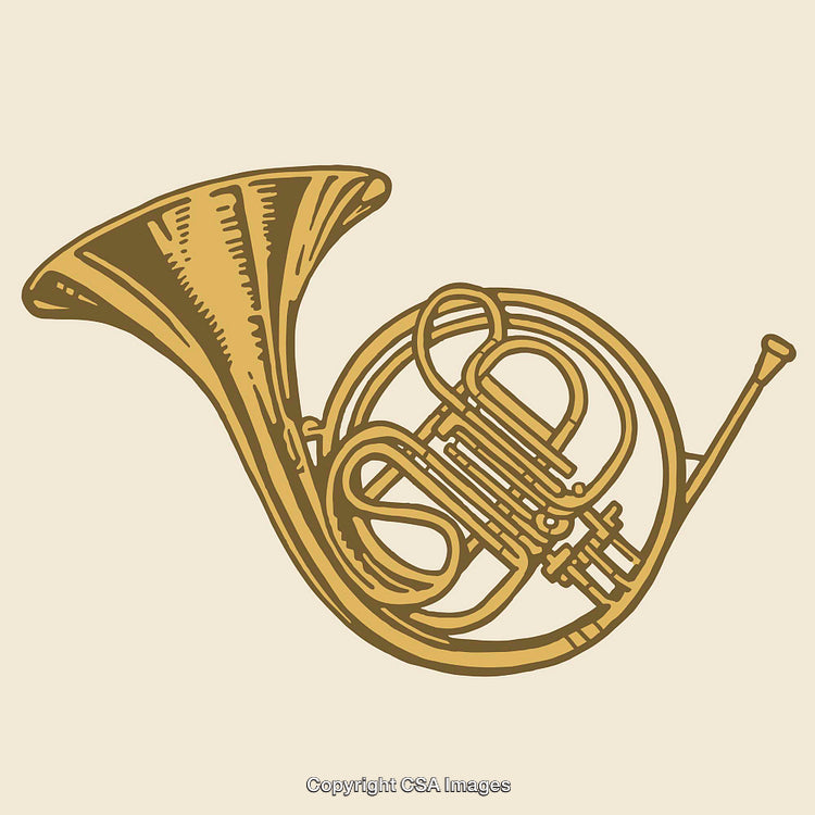 Golden Line Art Illustration of a French Horn on Light Background