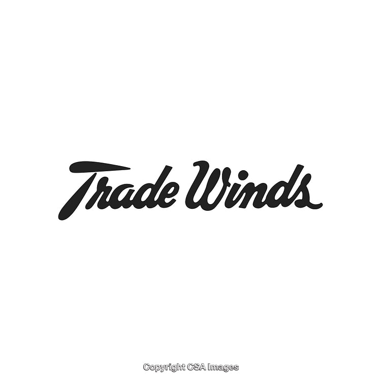Stylized Trademark Logo Design Featuring Bold Curves and Sleek Typography