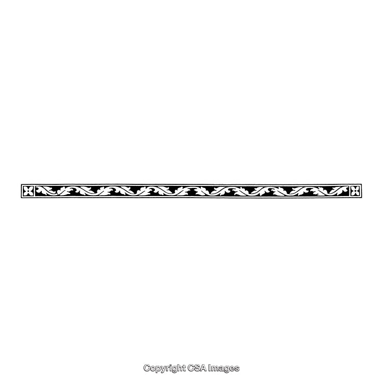 Elegant Black and White Border with Decorative Flourishes