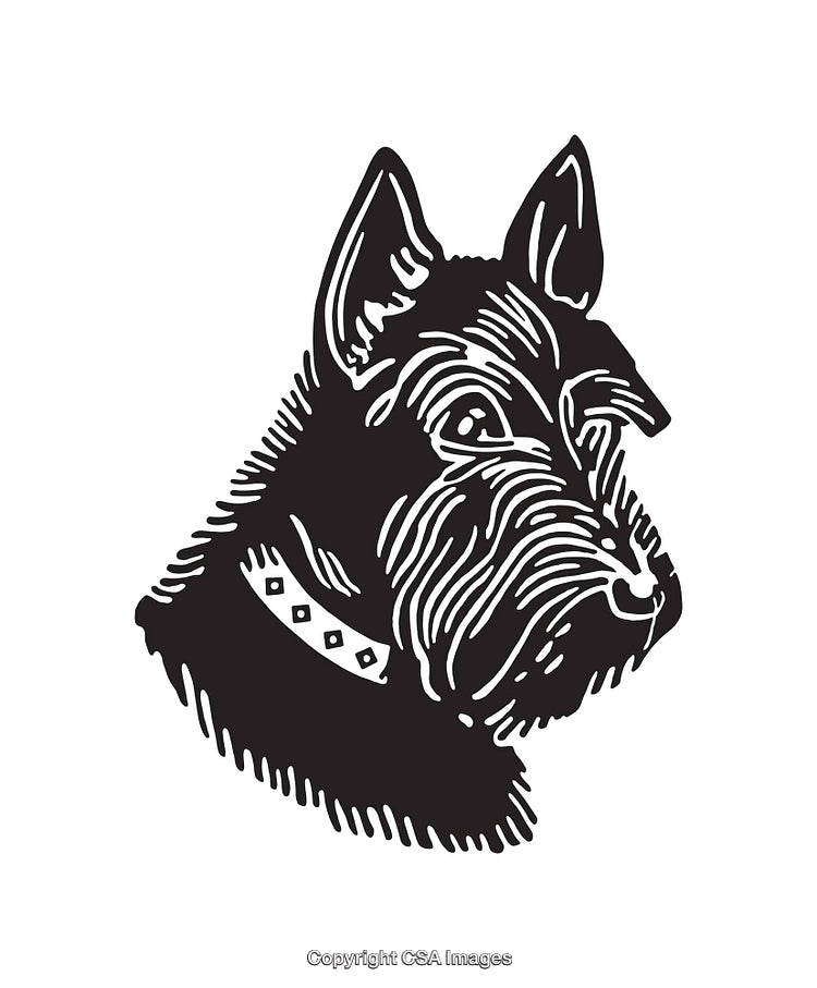 Black and White Line Art Illustration of a Terrier Dog's Face