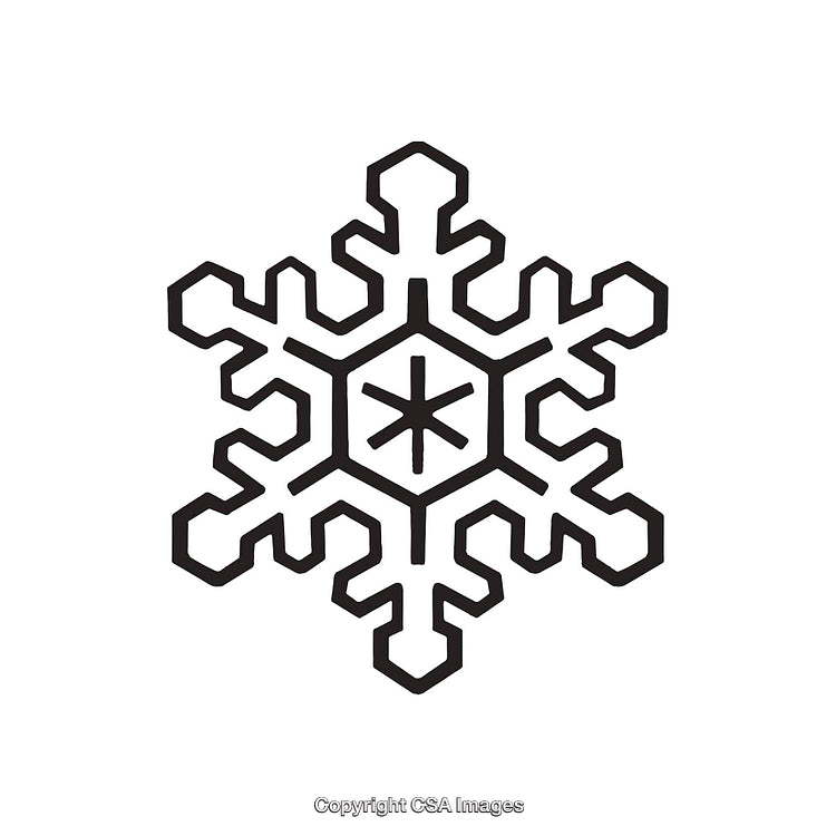 Black and White Geometric Snowflake Line Art Design