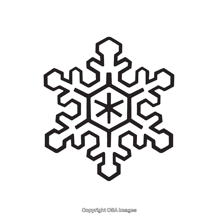 Black and White Geometric Snowflake Line Art Design