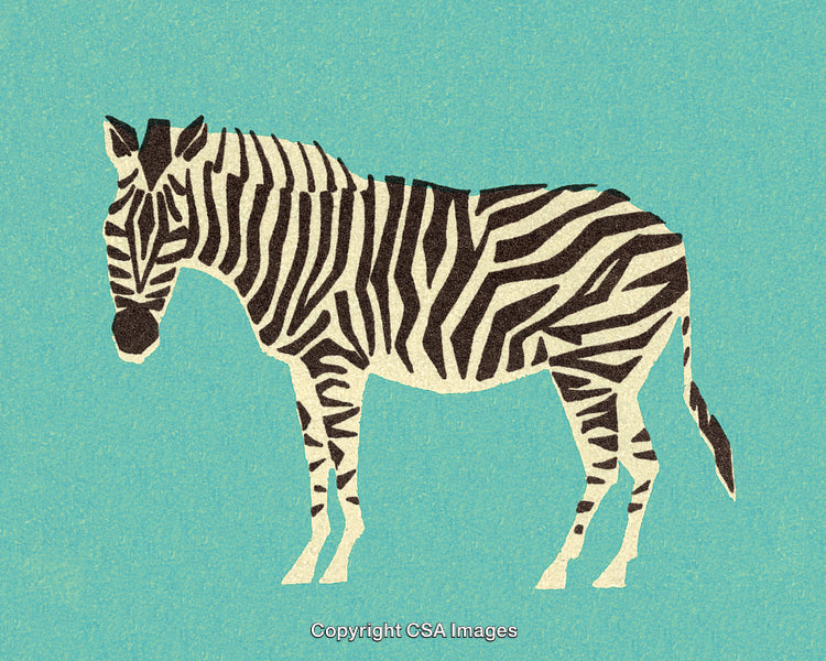 Vintage Illustration of a Zebra with Bold Stripes on Textured Background