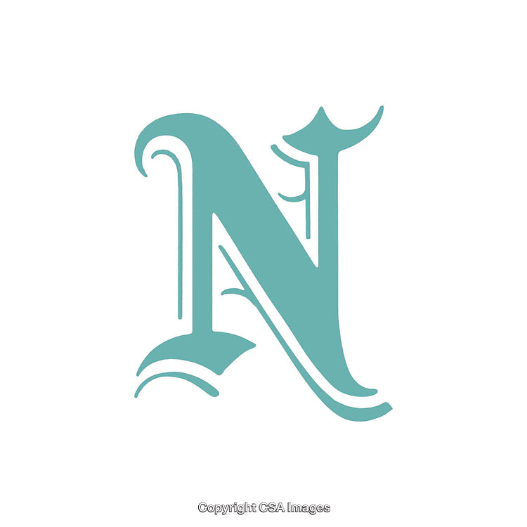 Elegant Calligraphic Letter N in Teal Ornate Style