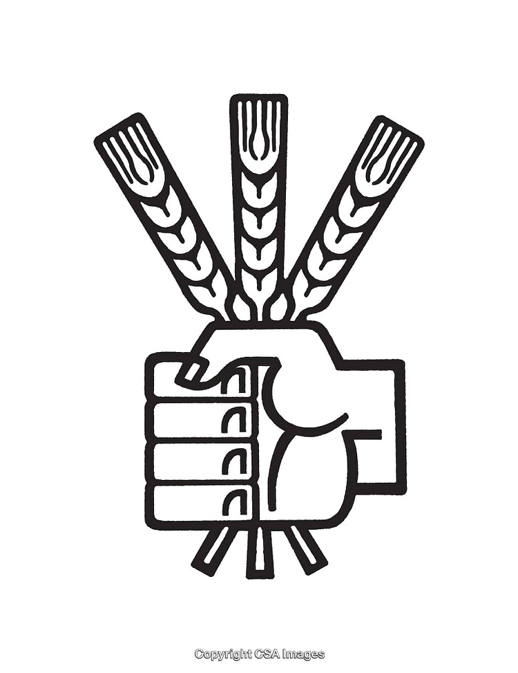 Hand Clutching Wheat Stalks Symbolizing Agriculture and Unity