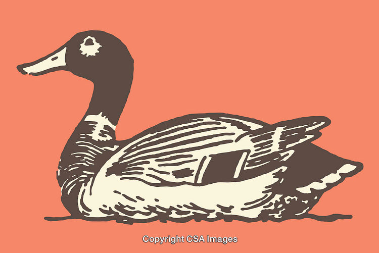 Vintage Line Art Illustration of a Goose on an Orange Background