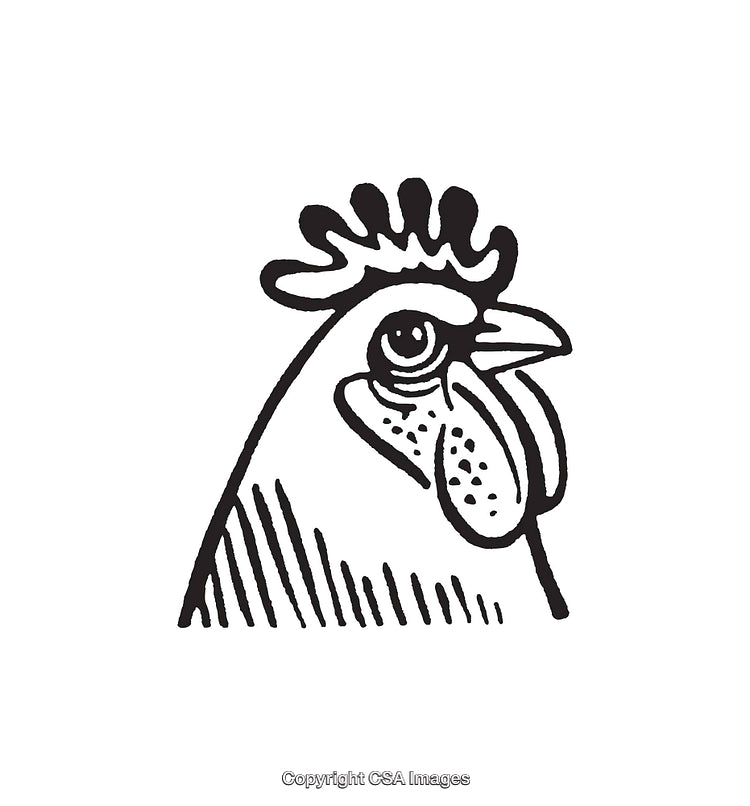Black and White Stylized Illustration of a Chicken Head