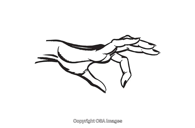 Black and White Line Art of a Graceful Hand Gesture