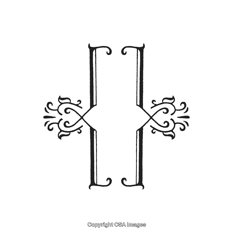 Decorative Symmetrical Black and White Ornamental Design Element Illustration