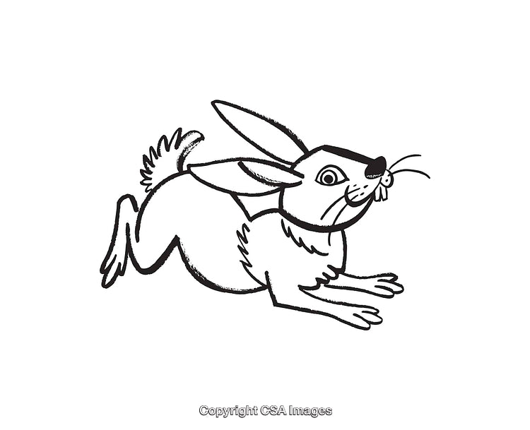Playful Black and White Rabbit Line Art Illustration Sketch
