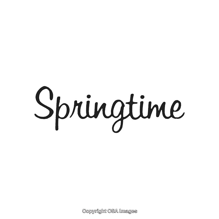 Elegant Handwritten Springtime Typography in Black on a White Background