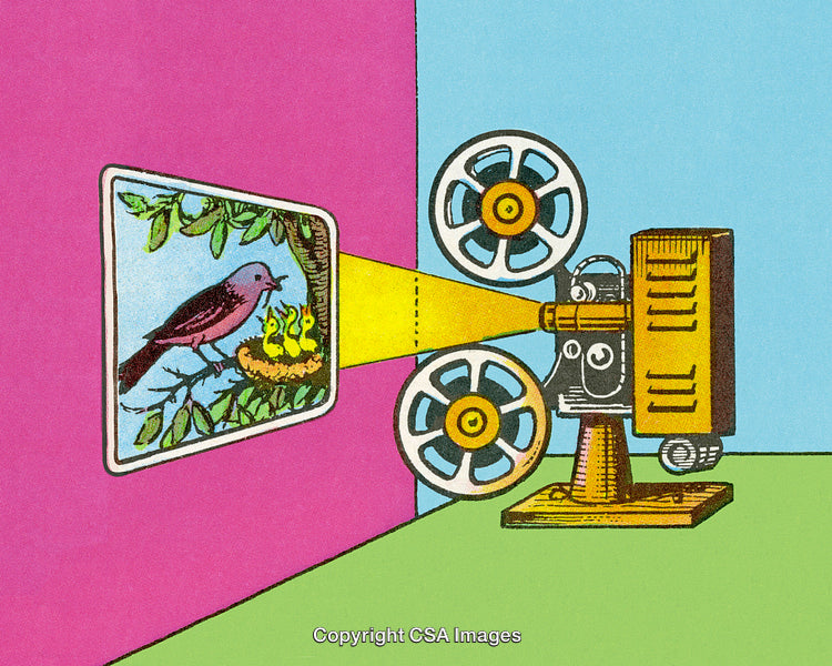 Vintage Illustration of a Projector Displaying a Bird Feeding Its Chicks