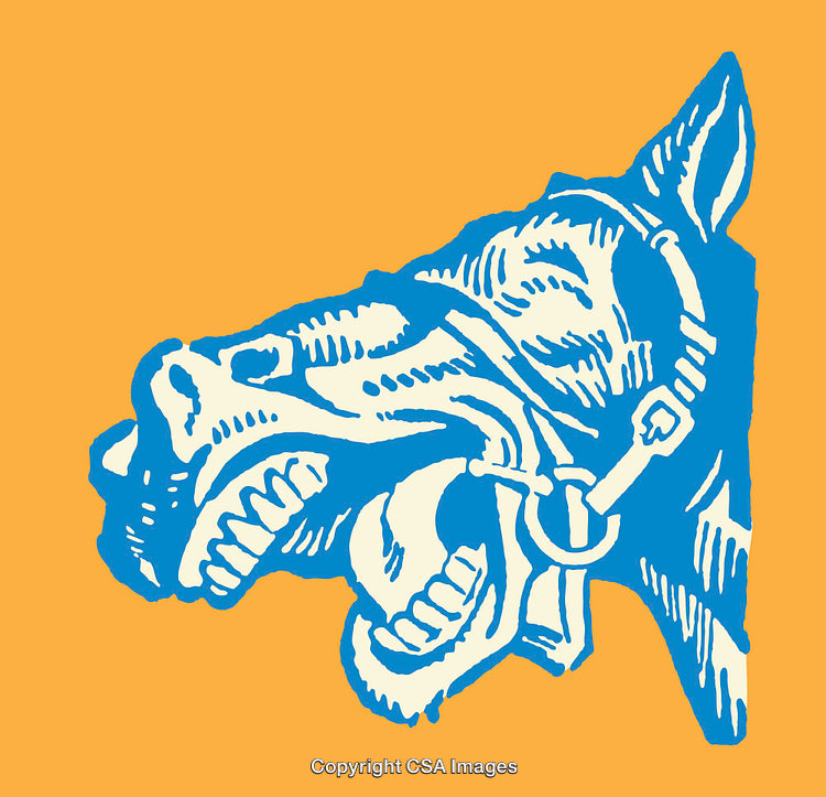 Vibrant Line Art of a Horse Illustration on an Orange Background