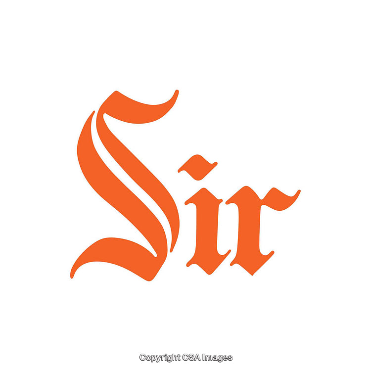 Elegant Typography Design Featuring the Word 'Sir' in Ornate Style