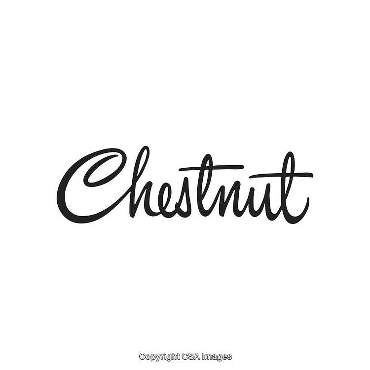 Elegant Script Design Featuring the Word Chestnut in Stylish Typography