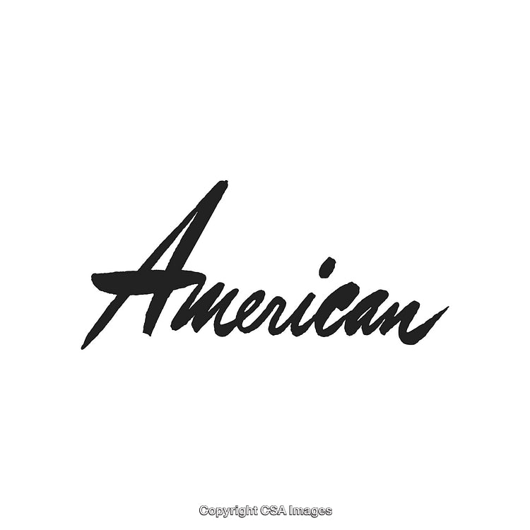 Stylized Black and White American Word Design in Bold Script Typeface