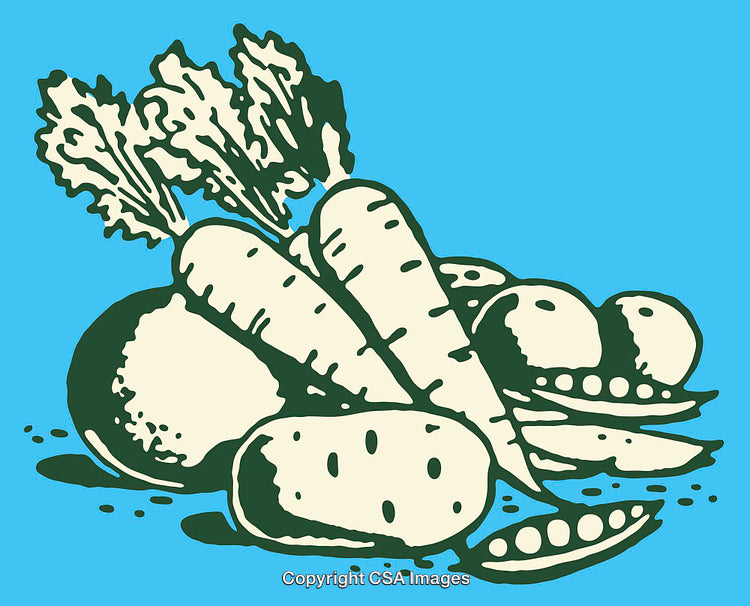 Illustration of Various Vegetables Displayed in Colorful Line Art Style