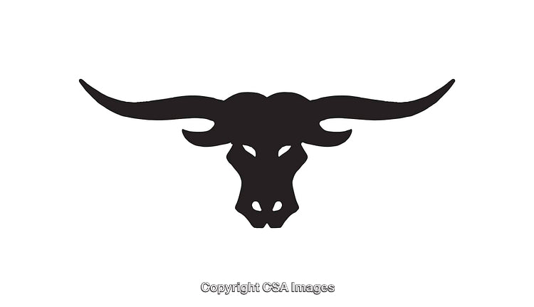 Black and White Longhorn Icon with Symmetrical Design