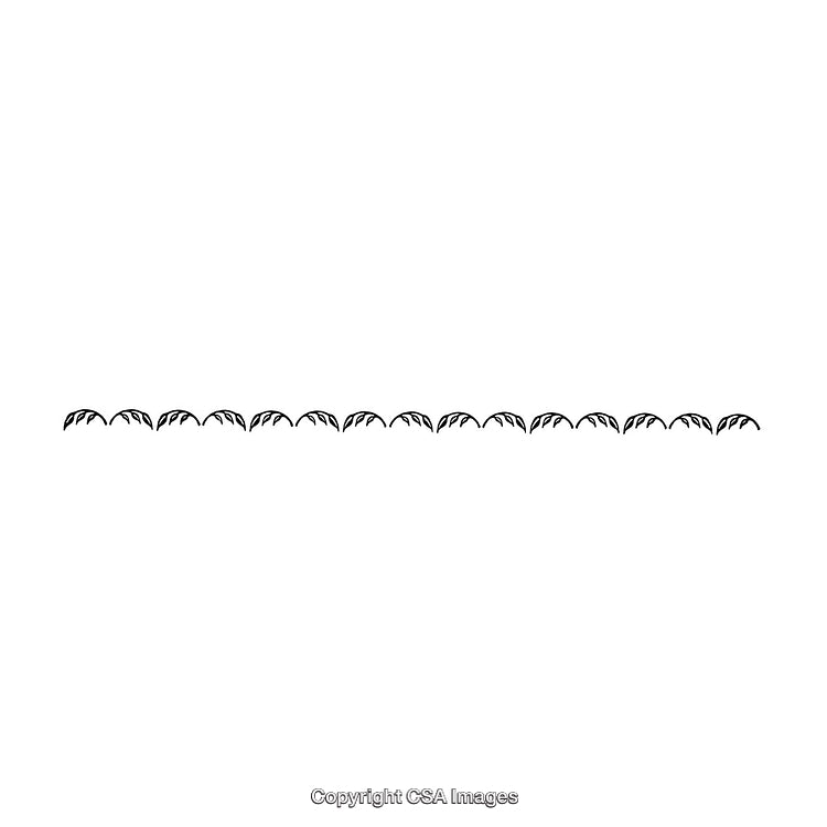 Black and White Decorative Border With Leaf Motif