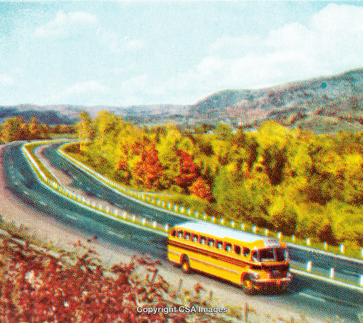 Yellow School Bus Traveling Through Scenic Countryside on a Clear Fall Day