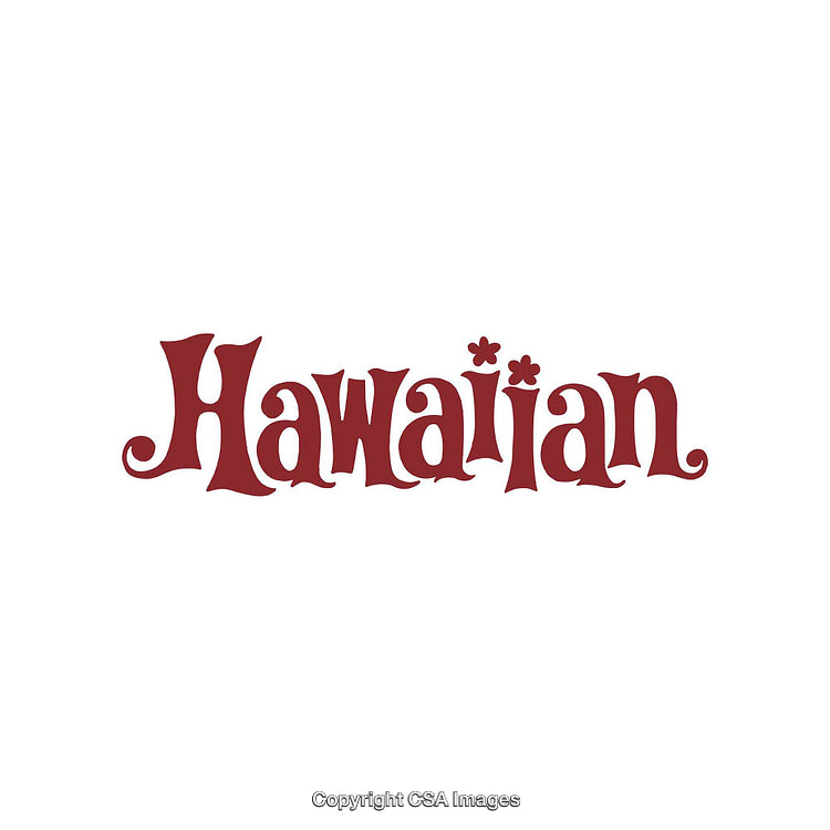 Creative Word Design in a Playful and Decorative Hawaiian Style Typography