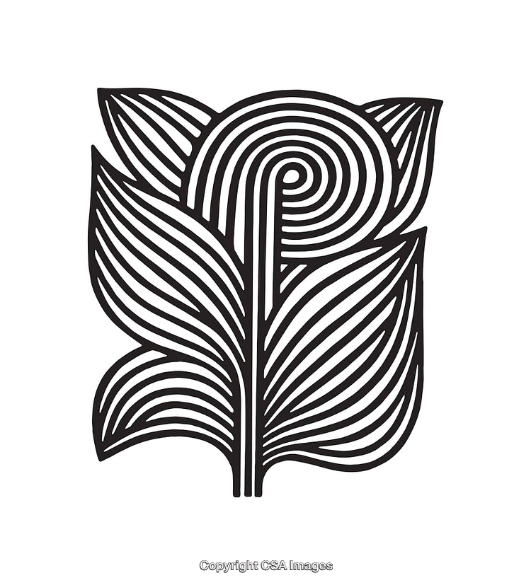 Black and White Line Art Illustration of Stylized Botanical Leaf Design