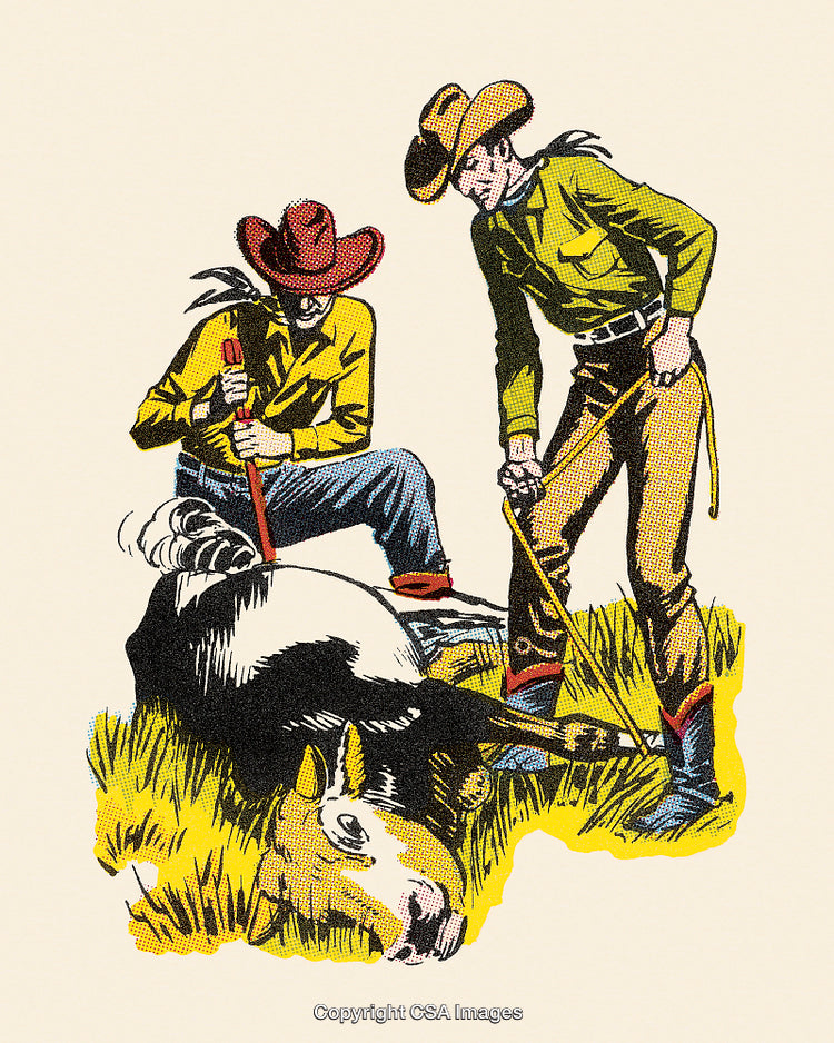 Cowboys Tending to a Farm Animal on Open Grassland