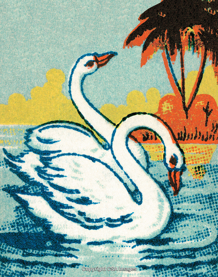 Vintage Illustration of Two Swans Swimming in a Serene Tropical Setting