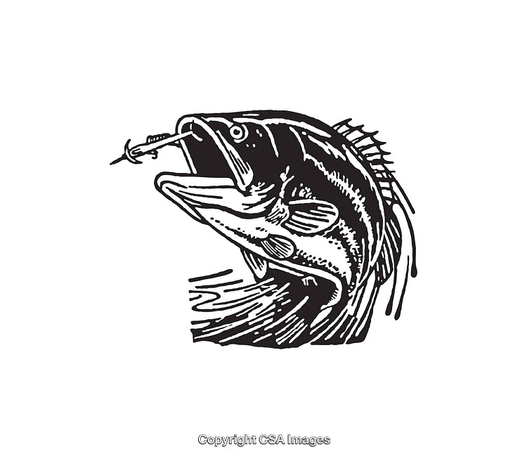 Black and White Illustration of a Fish Catching a Fishing Lure