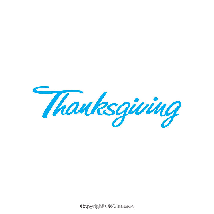 Blue Handwritten Thanksgiving Text on White Background