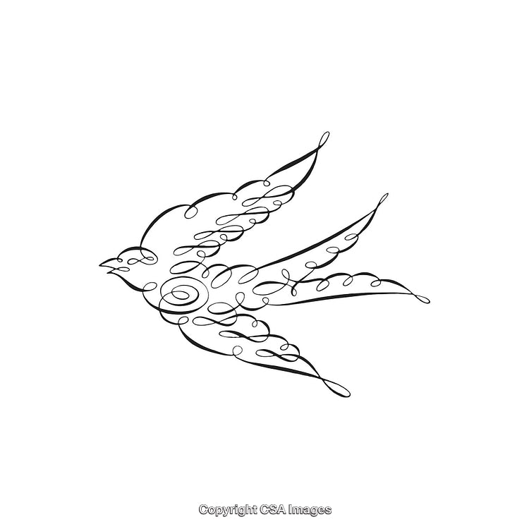 Elegant Line Art Bird Design in Black and White Illustration