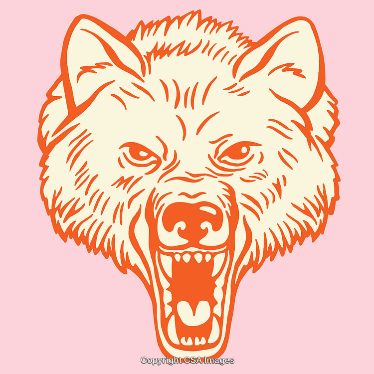 Vibrant Line Art of a Fierce Wolf Head in Bold Colors