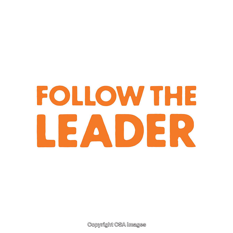 Bold Orange Text Highlighting Follow the Leader Phrase on White