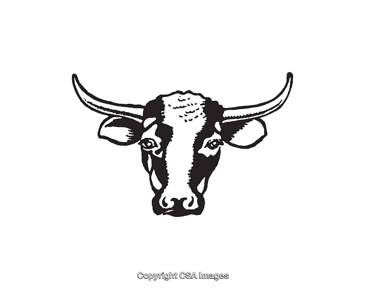 Black and White Illustration of a Bull Head with Detailed Features