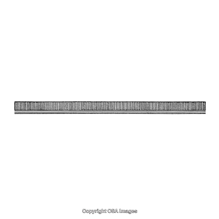 Simple Black and White Decorative Strip Illustration