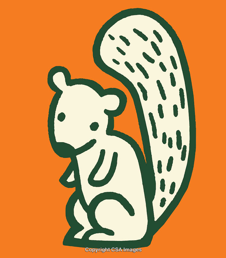 Colorful Hand-Drawn Squirrel Illustration with Playful Design Aesthetic