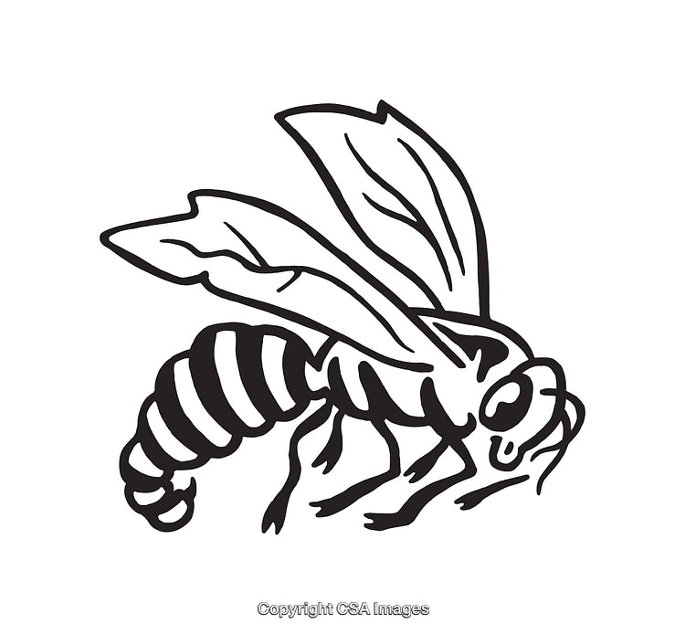 Black and White Line Art Illustration of a Honeybee