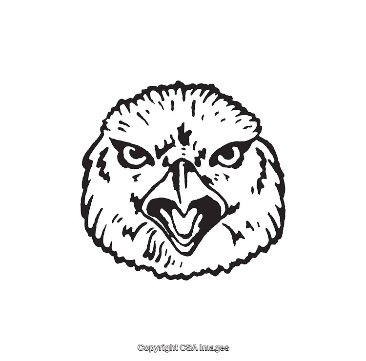 Black And White Illustration of an Intense Hawk Head