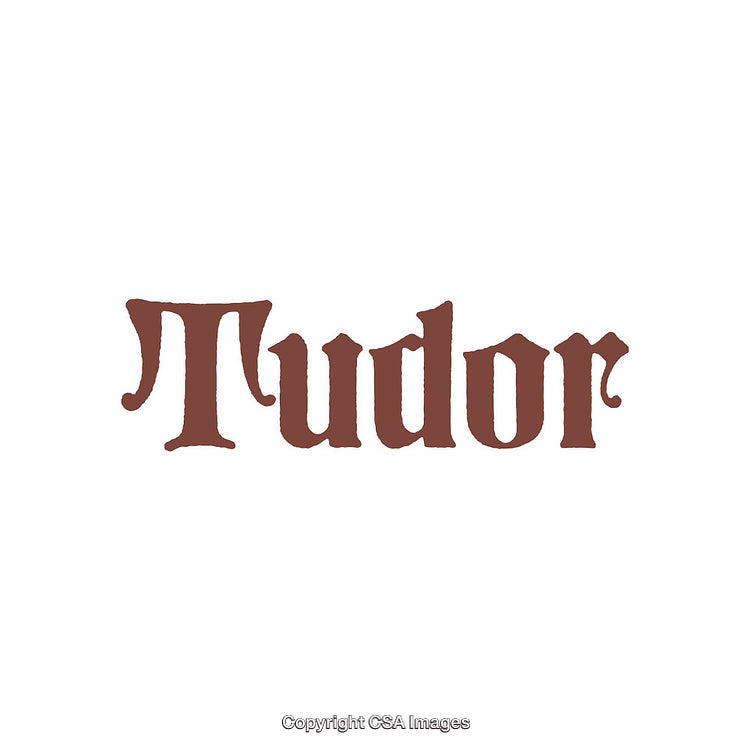 Vintage-Style Tudor Logo in Elegant Serif Fonts on White Background