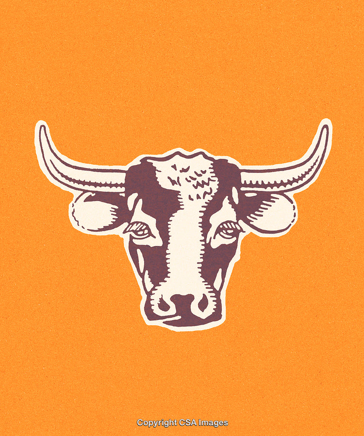 Illustration of a Bull's Head on a Vibrant Orange Background