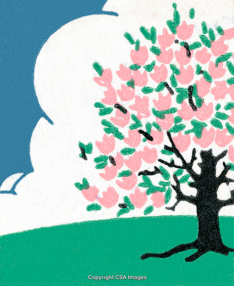 Color Illustration of a Blossoming Tree Under a Blue Sky