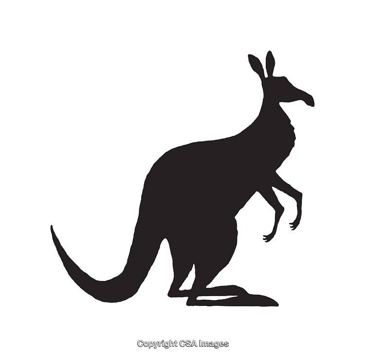 Silhouette of a Kangaroo in Black on a White Background