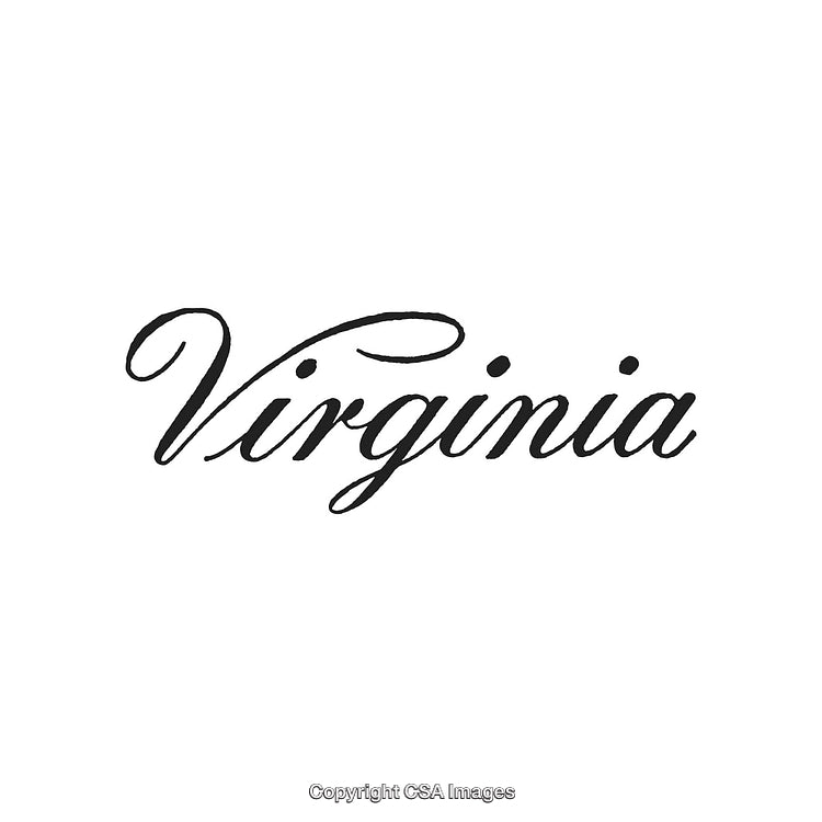 Elegant Cursive Typography Featuring the Word Virginia on a Clean White Background