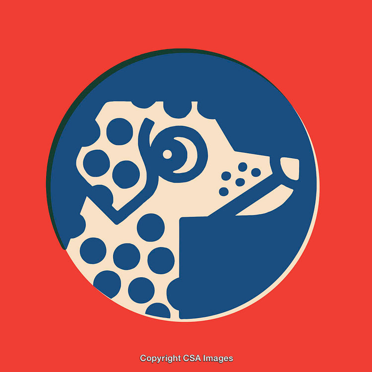 Graphic Illustration of a Stylized Dog on a Colorful Background