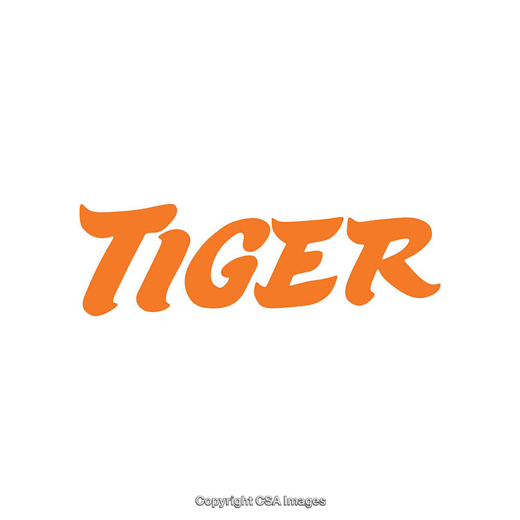 Stylized Word 'Tiger' in Bold Orange on White Background