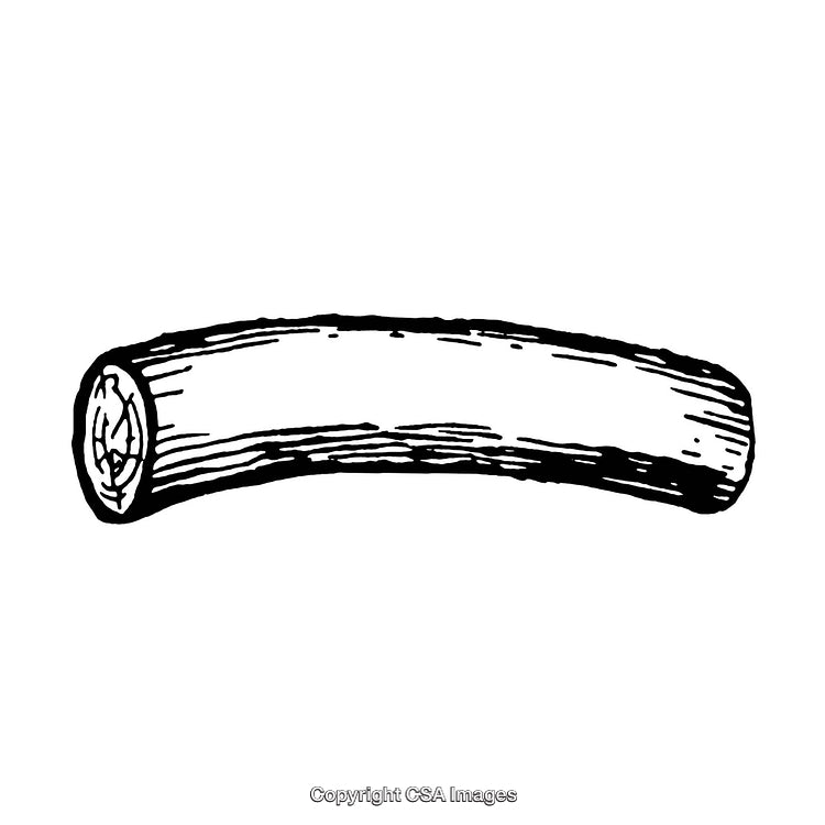 Vintage Black and White Illustration of a Wooden Log