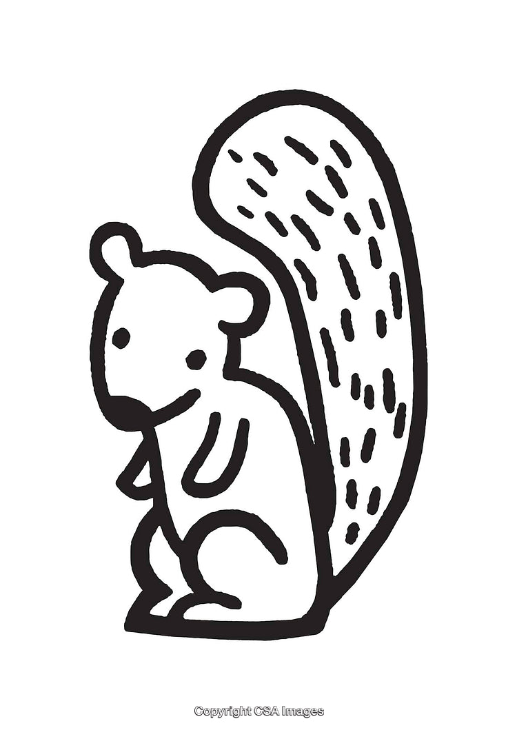 Black and White Line Art Illustration of a Cute Squirrel
