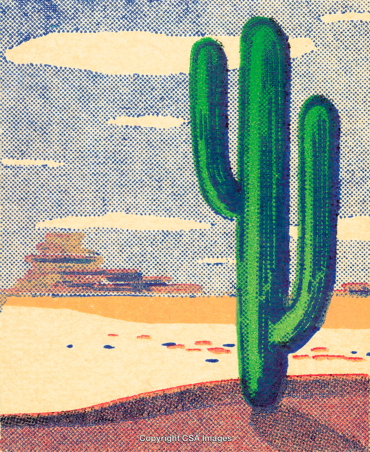 Colorful Illustrated Desert Scene with Cactus in Comic Art Style