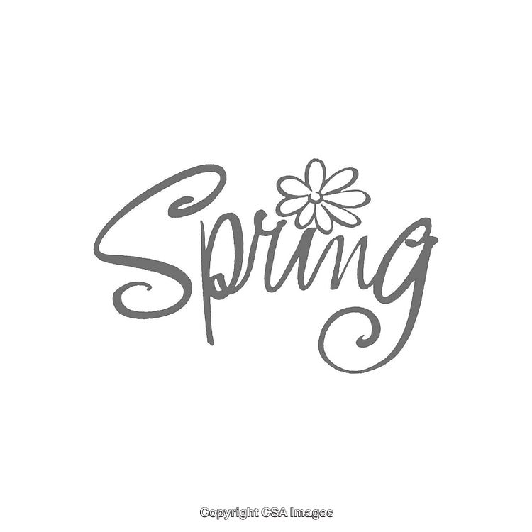 Handwritten Spring Artwork with Stylized Flower Accent in Monochrome