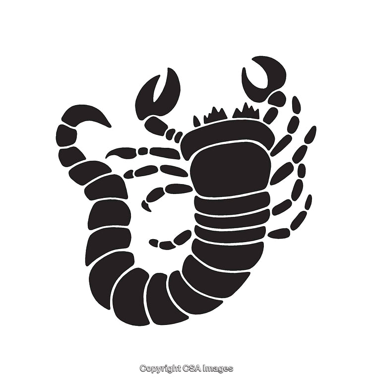 Black And White Stylized Scorpion Line Art Illustration Isolated On White